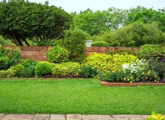 landscaping services Castalia